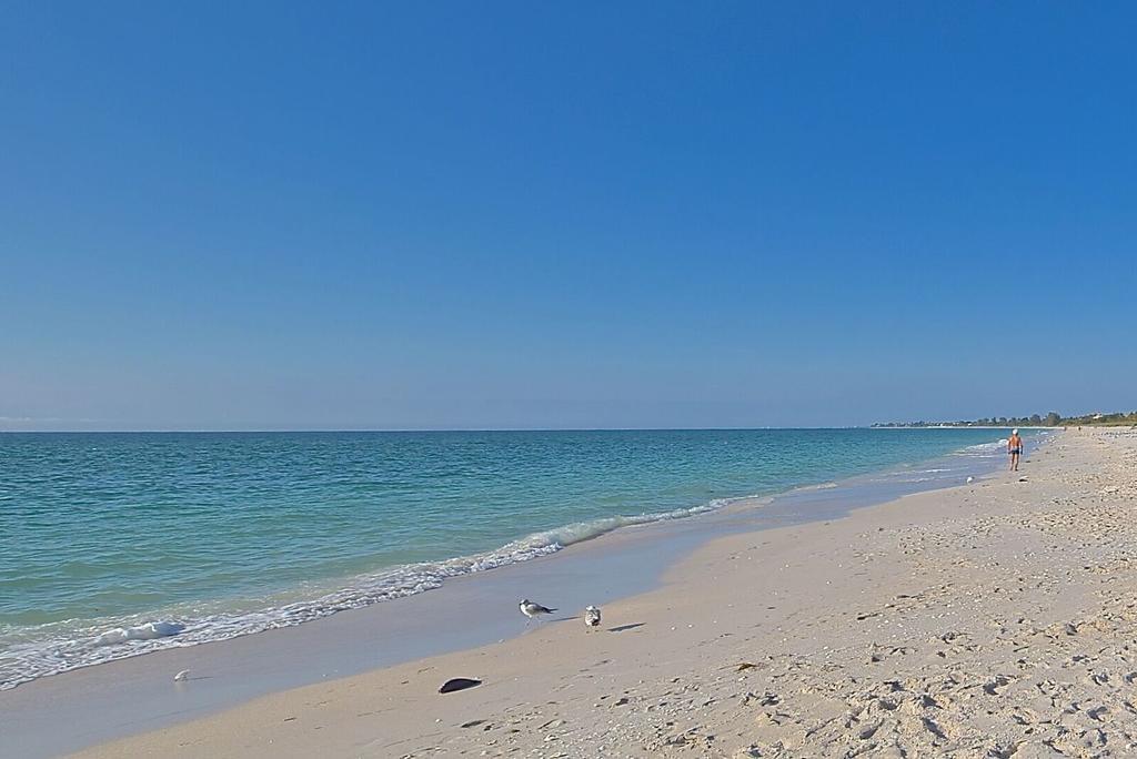 A Beach Retreat On Casey Key Nokomis Exterior foto